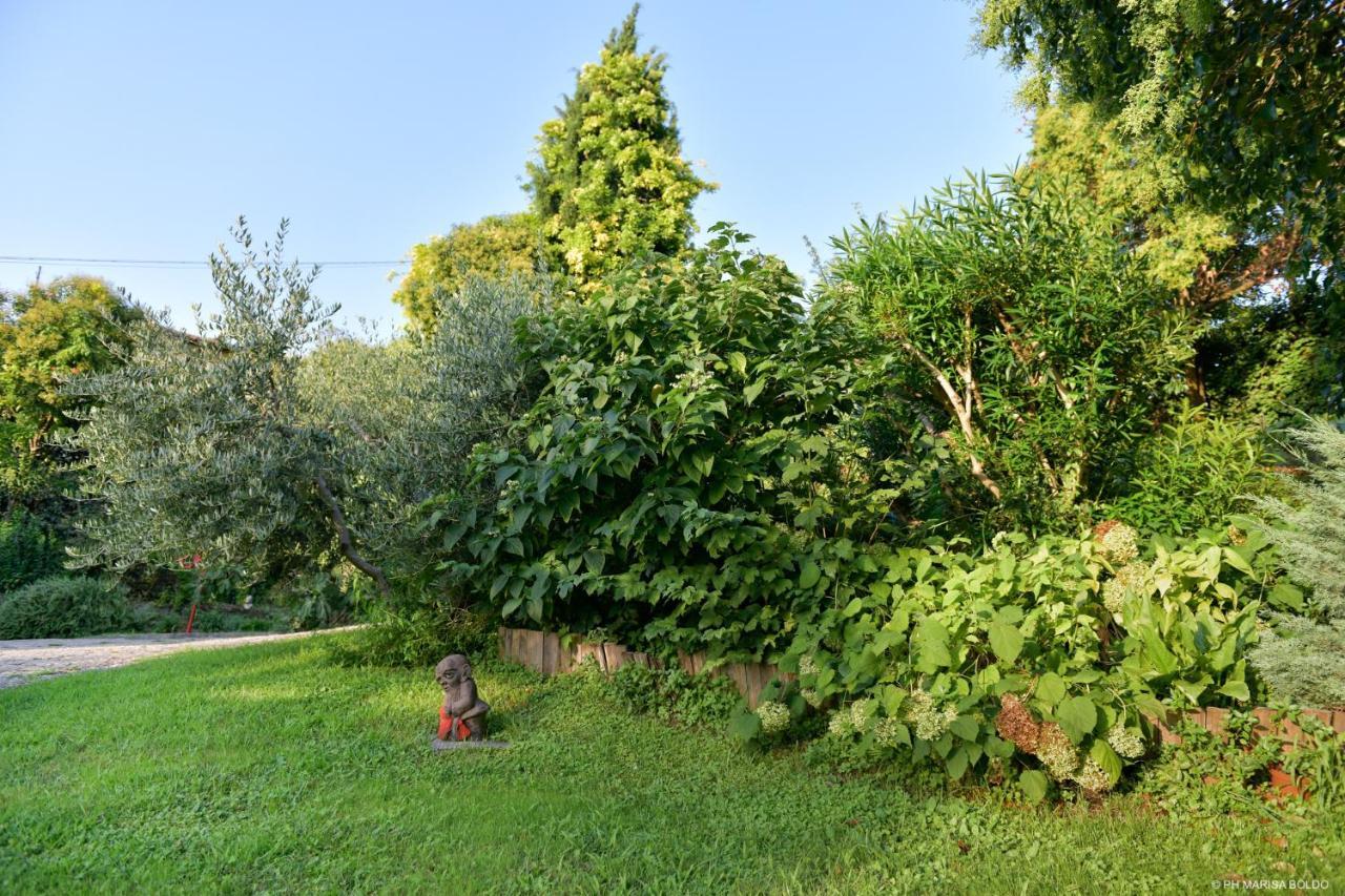 Villa Isidoro Ampio Parco ,Piscina Privata, Arte E Giochi , Fitness Verona Kültér fotó